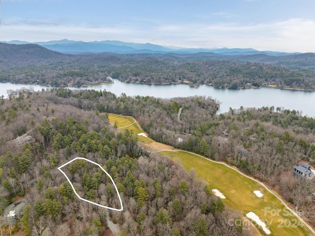 Listing photo 3 for 660 Cherokee Trce, Lake Toxaway NC 28747