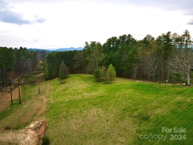 Listing photo 3 for 56 Tommy Ray Rdg Unit 7, Weaverville NC 28787