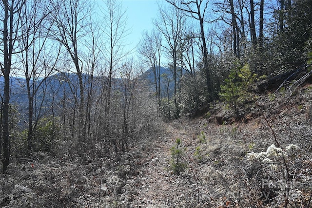 Listing photo 2 for 00 Longview Rdg Unit 72, Sylva NC 28779