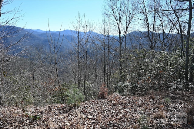 Listing photo 3 for 00 Longview Rdg Unit 72, Sylva NC 28779