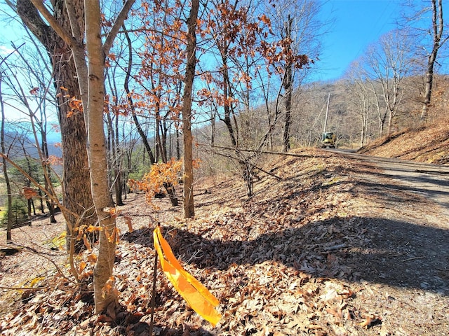 Listing photo 2 for 50 Feather Ln Unit 50, Waynesville NC 28786