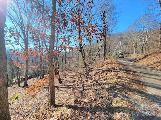 Listing photo 3 for 50 Feather Ln Unit 50, Waynesville NC 28786