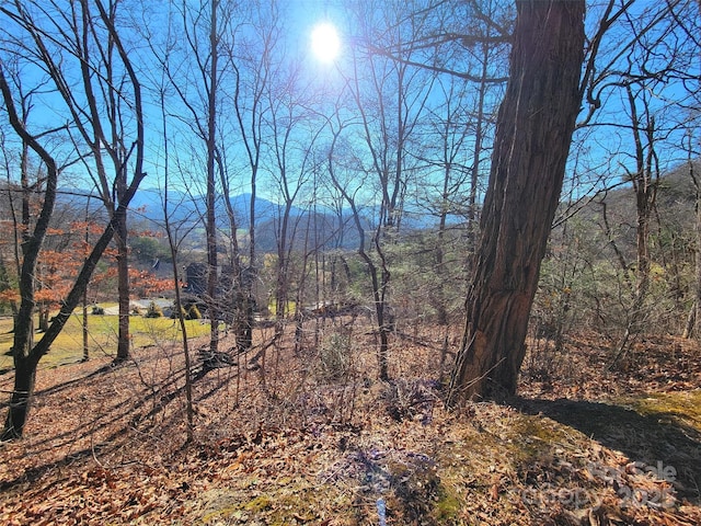 Listing photo 3 for 50 Feather Ln Unit 50, Waynesville NC 28786