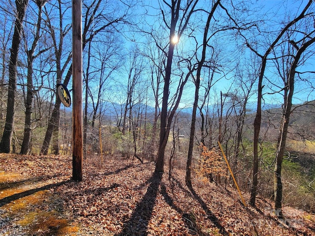 50 Feather Ln Unit 50, Waynesville, NC 28786 - photo 1