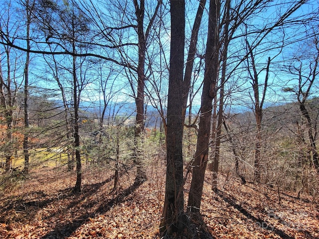 50 Feather Ln Unit 50, Waynesville, NC 28786 - photo 2