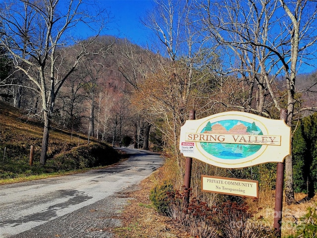 50 Feather Ln Unit 50, Waynesville, NC 28786 - photo 6