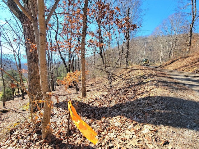 50 Feather Ln Unit 50, Waynesville, NC 28786 - photo 8