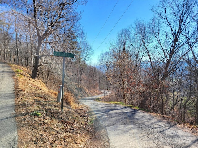 50 Feather Ln Unit 50, Waynesville, NC 28786 - photo 9