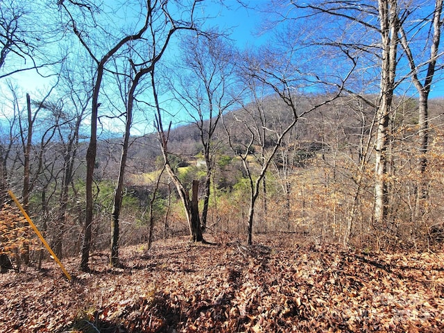 50 Feather Ln Unit 50, Waynesville, NC 28786 - photo 10
