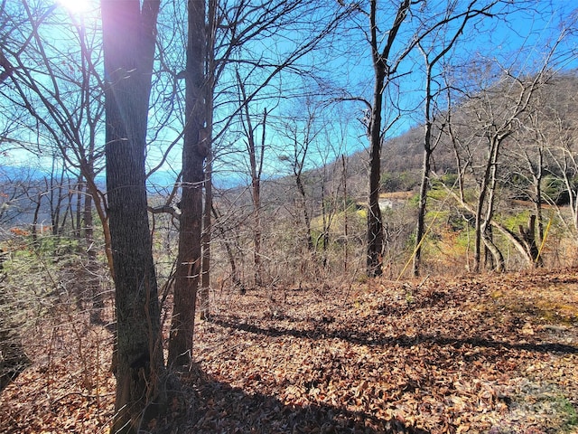 50 Feather Ln Unit 50, Waynesville, NC 28786 - photo 12