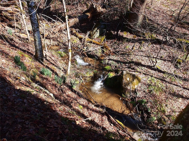 view of nature featuring a water view