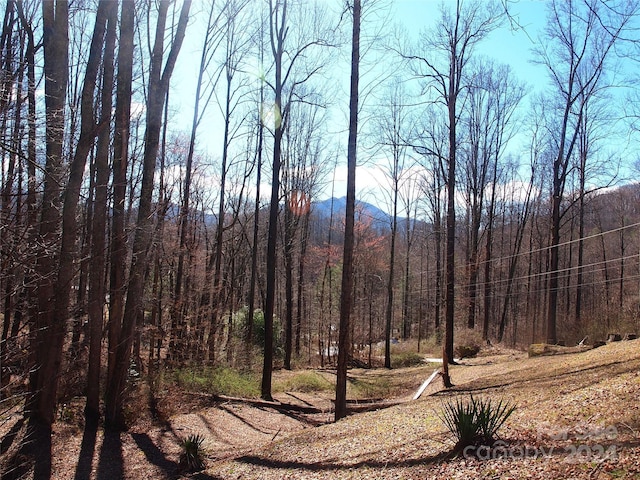 view of landscape