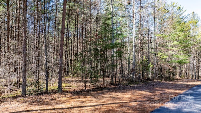 49 Trillium Trl Unit 285, Nebo NC, 28761 land for sale