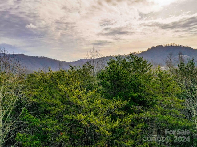 Listing photo 3 for 53 Sunny Morning Ct, Hendersonville NC 28792