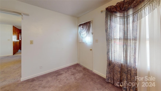 carpeted empty room featuring plenty of natural light