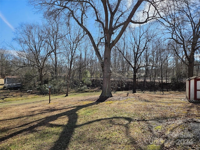 view of yard with a storage shed