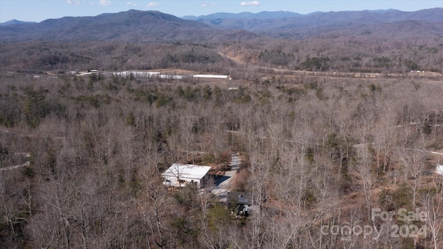 aerial view with a mountain view