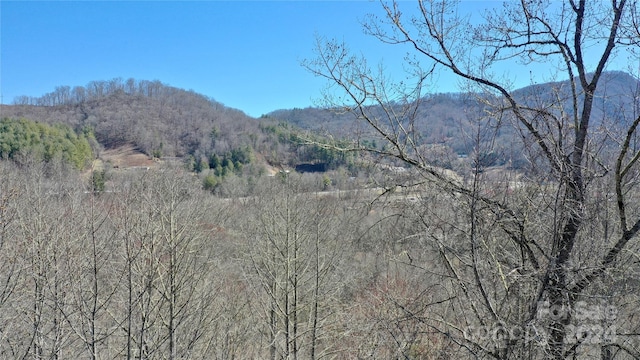 000 Lyle Wilson Rd, Cullowhee NC, 28723 land for sale