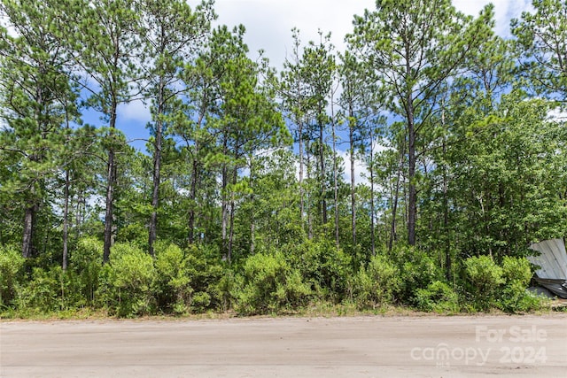 00 Southport-Supply Rd SE Unit 31, Southport, NC 28461 - photo 6