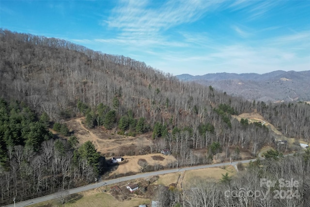 view of mountain feature