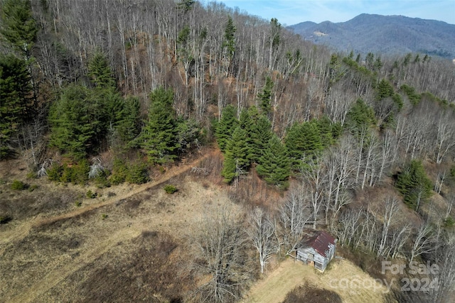 view of mountain view