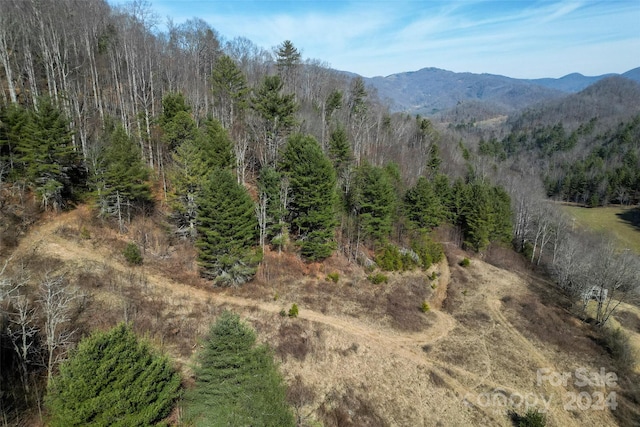 view of mountain view