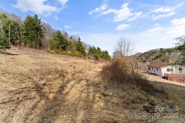 view of local wilderness