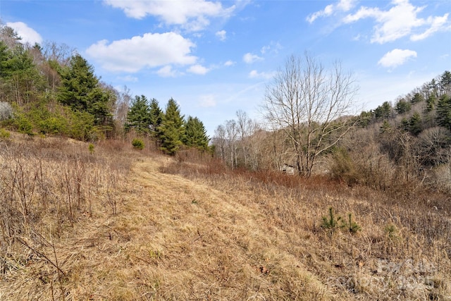 view of landscape
