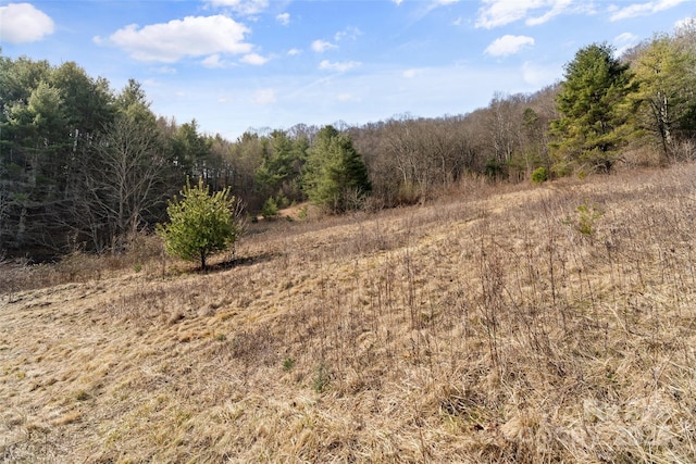 view of landscape featuring a forest view