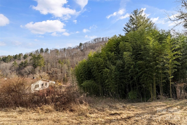 view of local wilderness with a forest view