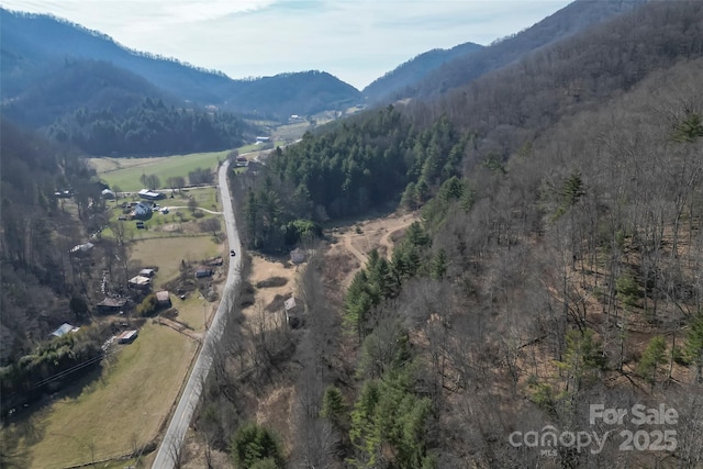 property view of mountains with a wooded view