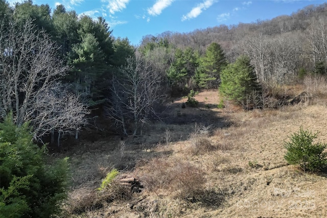 view of nature with a view of trees