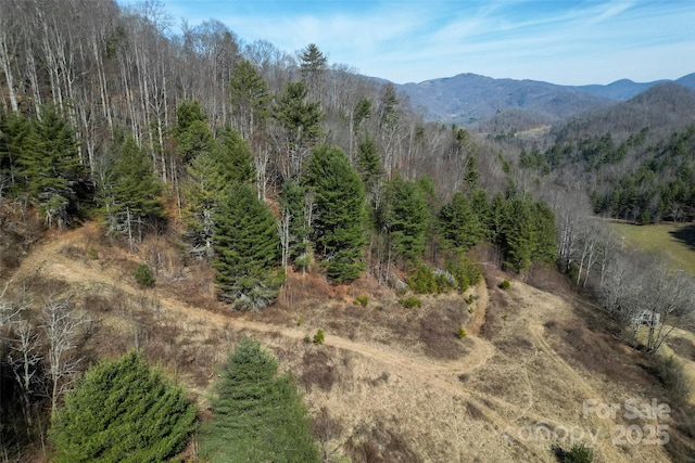 view of mountain feature with a forest view