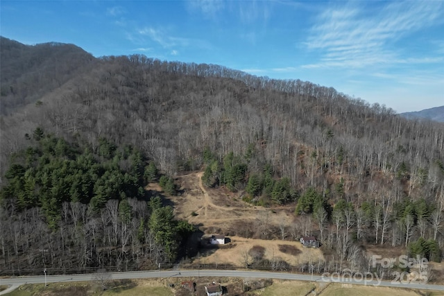 property view of mountains with a wooded view