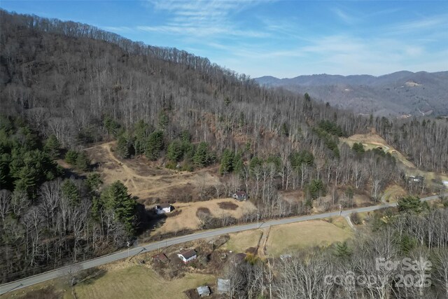 mountain view with a wooded view