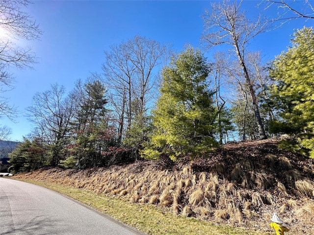 204 Tom Fazio Trce Unit 322, Hendersonville NC, 28739 land for sale