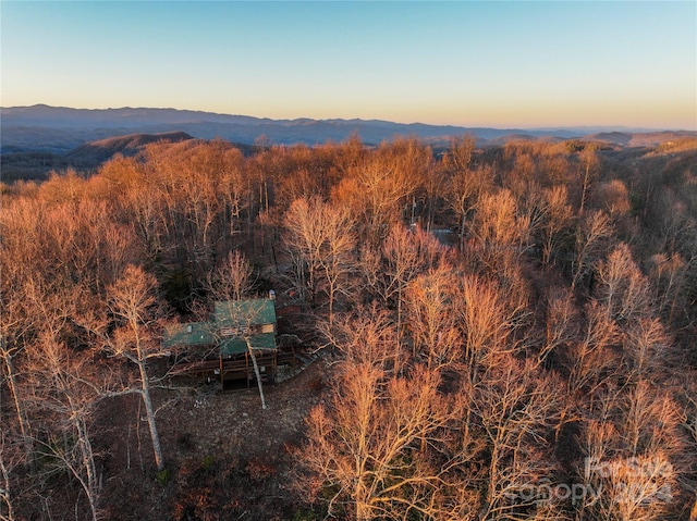 aerial view at dusk with a mountain view