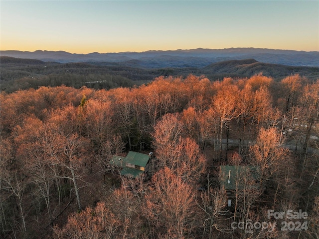 view of mountain view