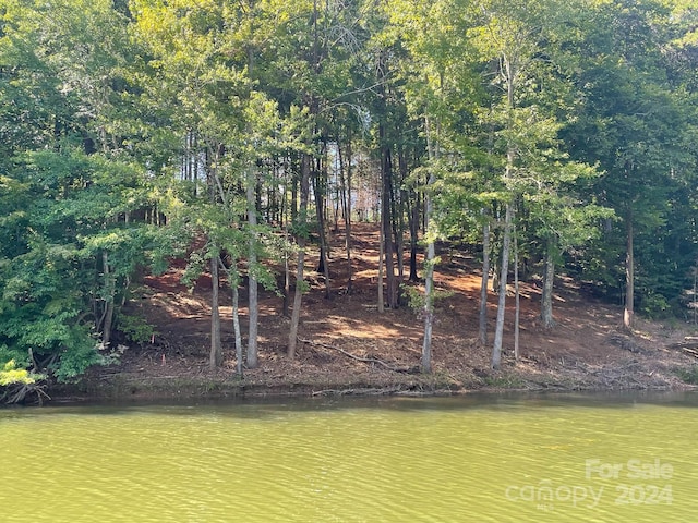 195 Riverwalk Rd, Stony Point NC, 28678 land for sale