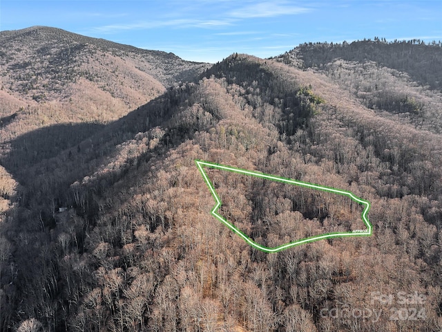 150 Mountain Laurel Ln, Burnsville NC, 28714 land for sale