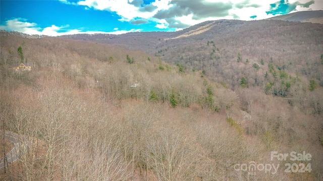 Listing photo 3 for 1121 Pine Ridge Rd, Beech Mountain NC 28604