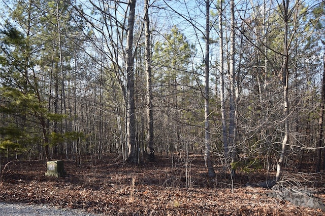 Listing photo 3 for LOT74 Tayberry Dr, Nebo NC 28761