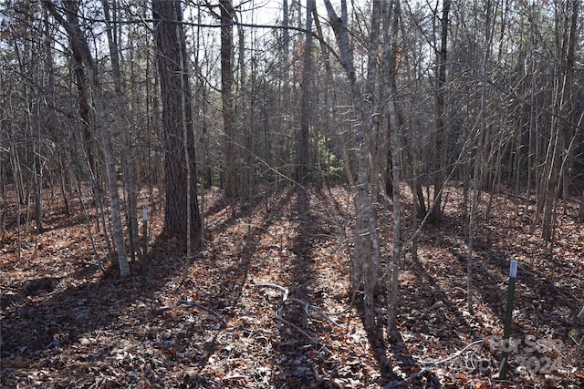 Listing photo 3 for LOT75 Tayberry Dr, Nebo NC 28761