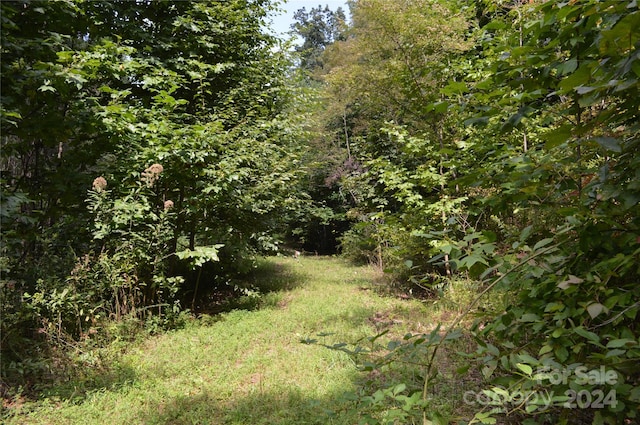 Listing photo 3 for 9999 Still Spring Rd, Black Mountain NC 28711