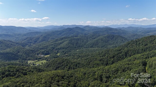 9999 Still Spring Rd, Black Mountain NC, 28711 land for sale