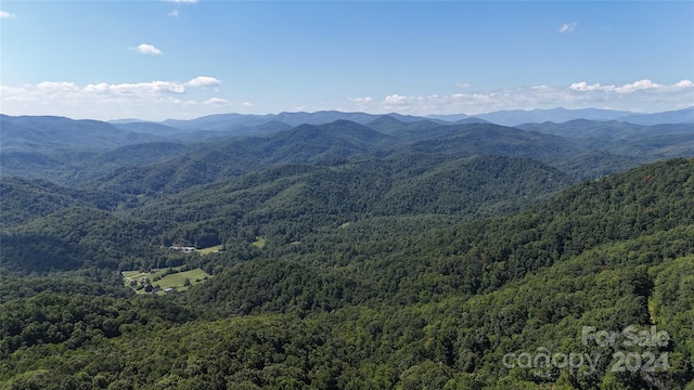 9999 Still Spring Rd, Black Mountain NC, 28711 land for sale