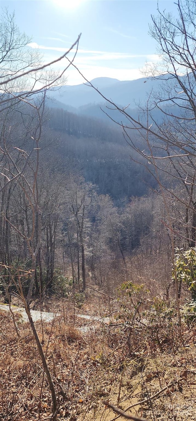 9999 Still Spring Rd Lot 4, Black Mountain NC, 28711 land for sale