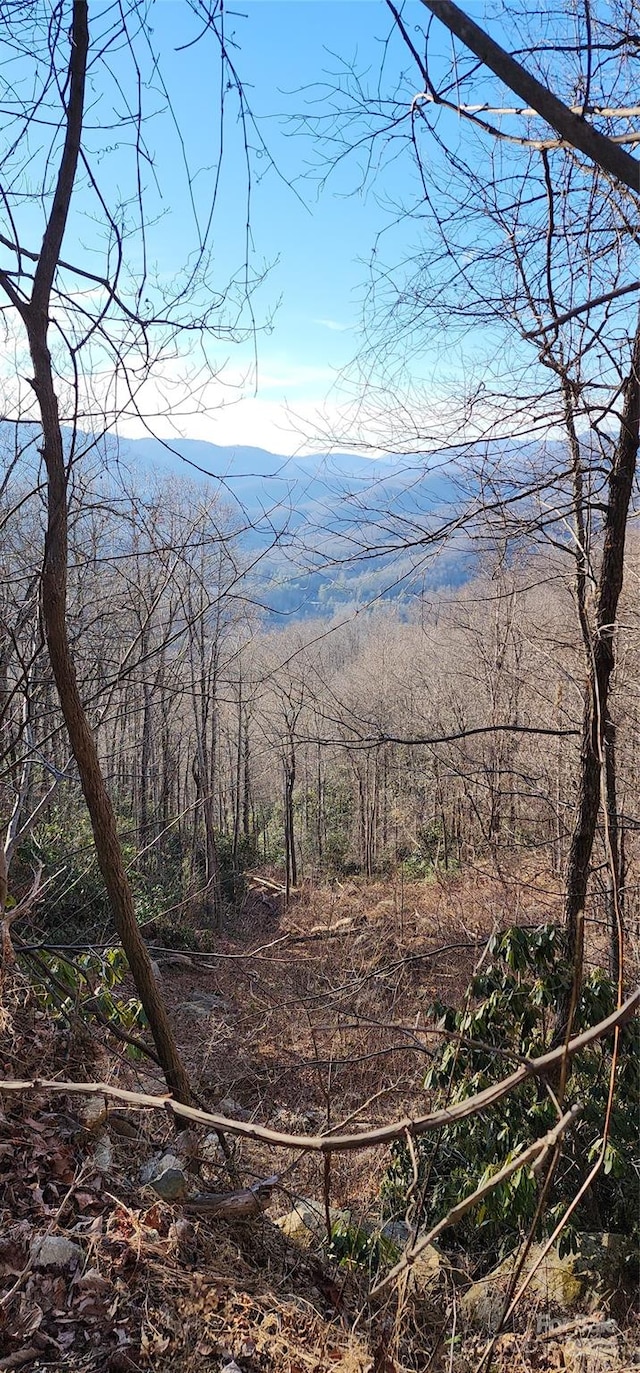 Listing photo 2 for 9999 Still Spring Rd Lot 4, Black Mountain NC 28711