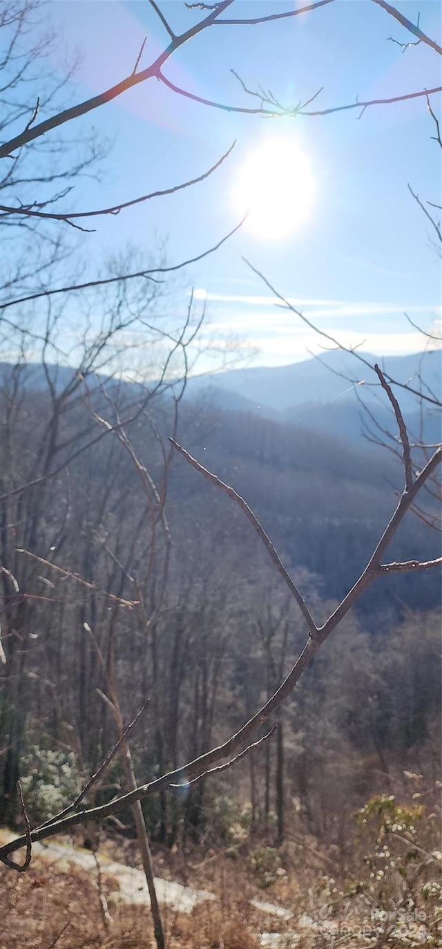 Listing photo 3 for 9999 Still Spring Rd Lot 4, Black Mountain NC 28711