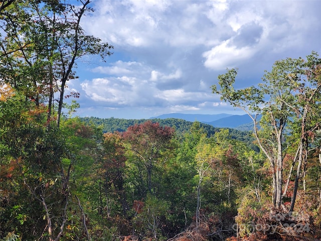 Listing photo 3 for TBD Parkwood Hill Rd, Spruce Pine NC 28777